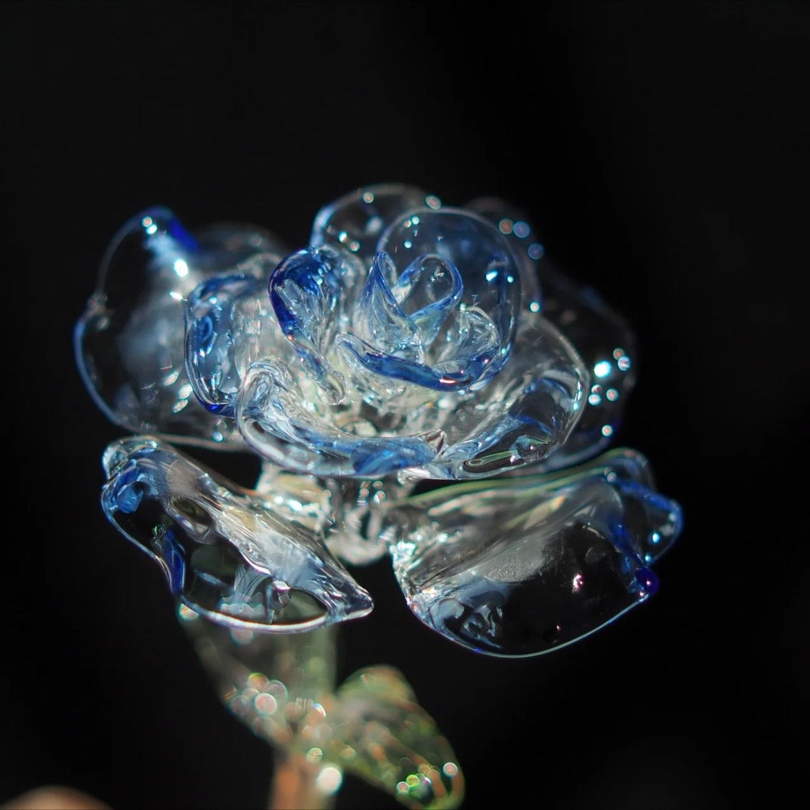 Crystal Ice Blue Rose